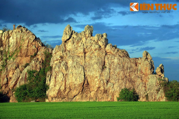 Ngam ky quan da khong lo giua dong lua o Phu Yen-Hinh-9