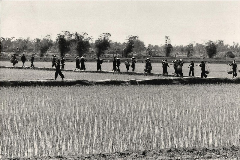 Anh doc mien Bac Viet Nam 1967 cua phong vien My (2)-Hinh-9