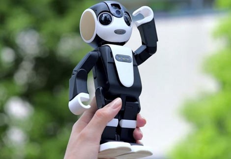 Can canh  RoboHon, robot kiem smartphone sieu doc dao-Hinh-7