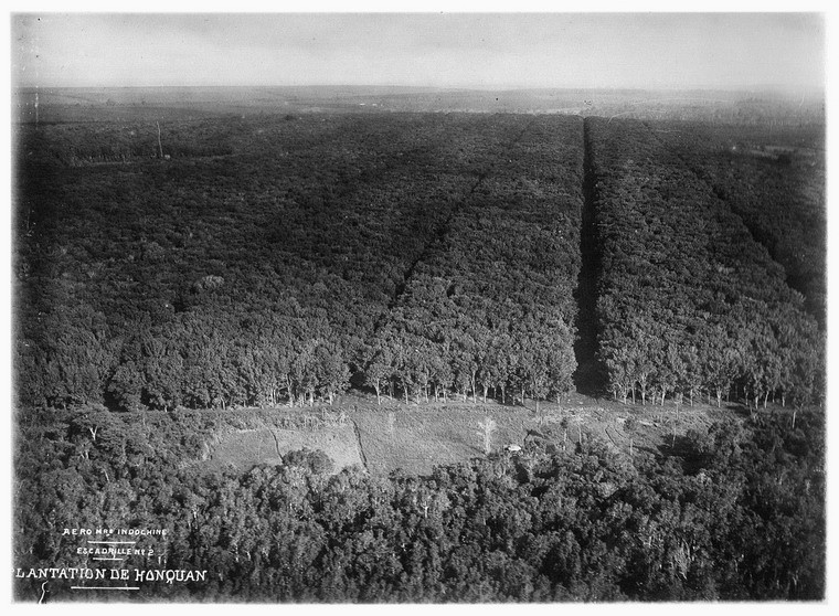 Ngam Dong Duong thap nien 1930 tu may bay (2)-Hinh-4