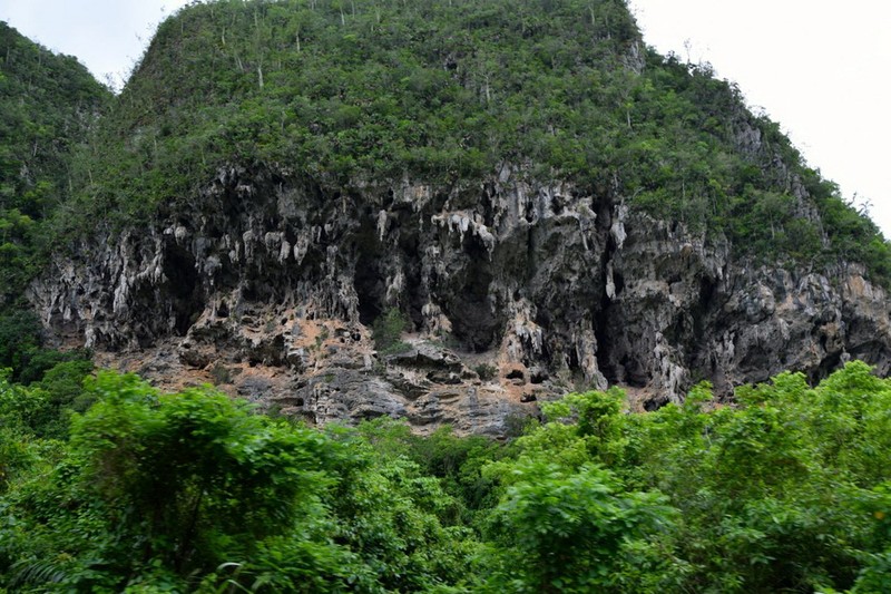 Kham pha thung lung xi ga huyen thoai cua Cuba-Hinh-8