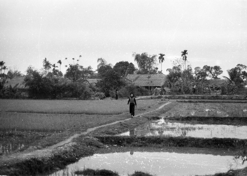 Mien Bac Viet Nam 1967 dep la trong mat nguoi My (1)-Hinh-4