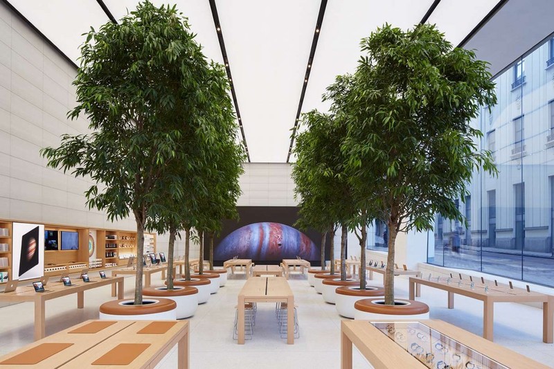 Ngam Apple Store tuyet dep do thien tai Jony Ive thiet ke-Hinh-7