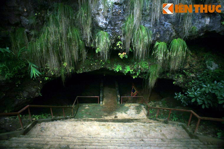 Choang ngop hang dong dep ngat ngay o mien nui phia Bac-Hinh-13