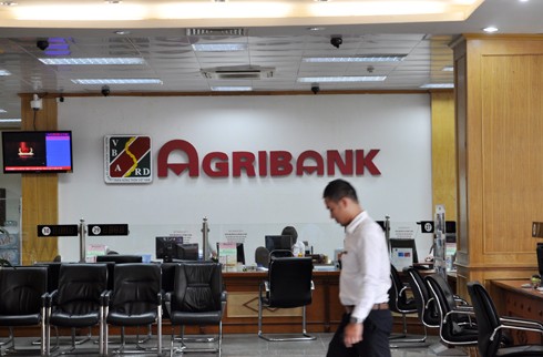 Xet xu dai an tham nhung tai Agribank chi nhanh Nam Ha Noi