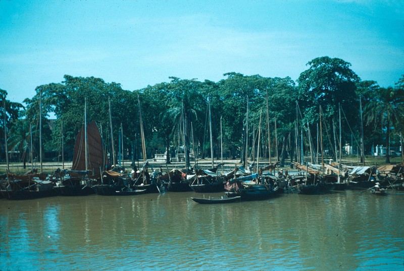 Anh mau hiem co ve Hai Phong nam 1954-Hinh-6