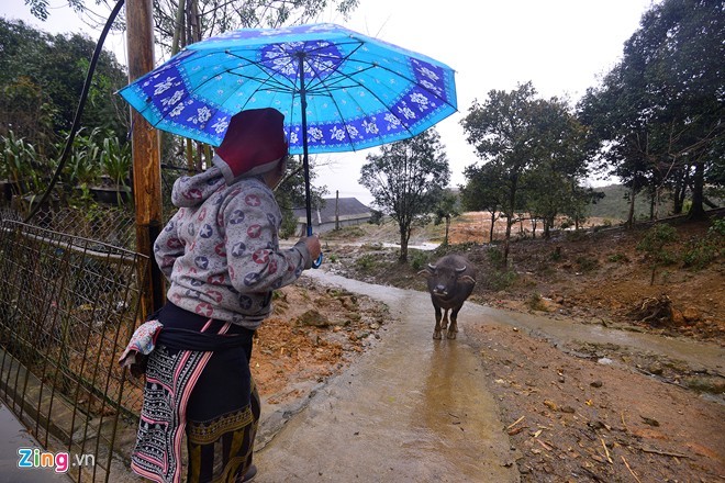 Canh nguoi dan Sa Pa vat va lua gia suc di tranh tuyet roi-Hinh-8