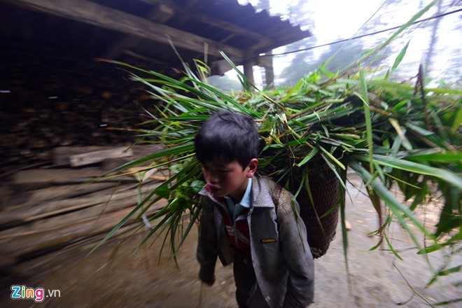 Canh nguoi dan Sa Pa vat va lua gia suc di tranh tuyet roi-Hinh-9