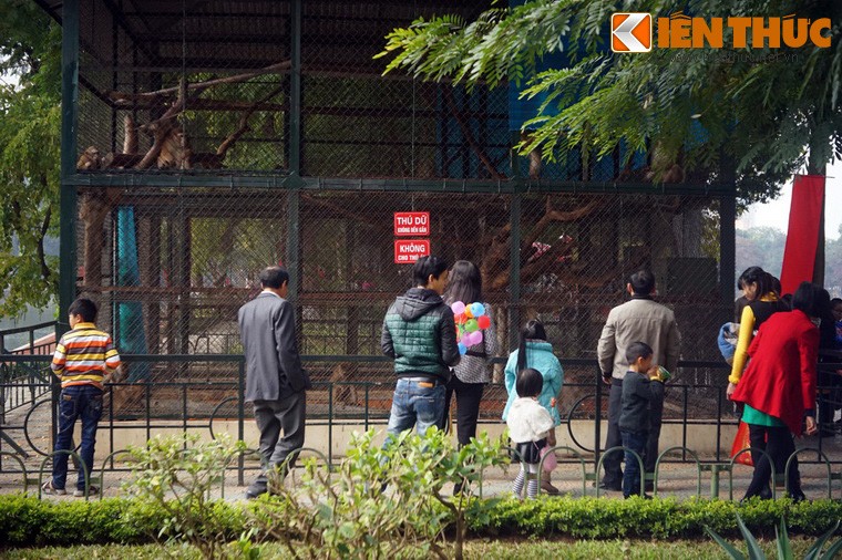 Dau nam Khi, xem khi lam... tro khi o Ha Noi-Hinh-2