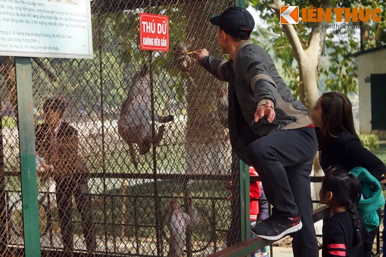 Dau nam Khi, xem khi lam... tro khi o Ha Noi-Hinh-8