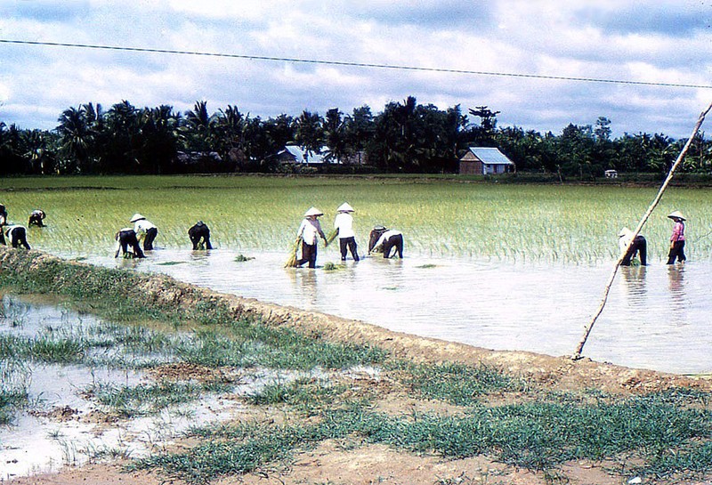 Mien Nam truoc 1975 trong anh cua Gene Whitme (1)-Hinh-16