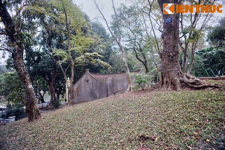 Chiem nguong “kho bau sua do nghin ti” o Ha Noi-Hinh-13