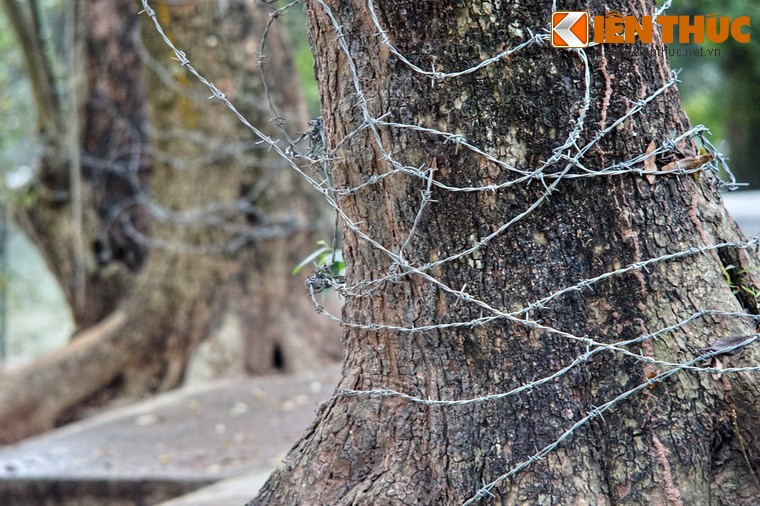 Ngam “kho bau nghin ti” lo thien giua trung tam Ha Noi-Hinh-11