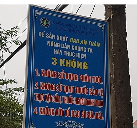 Su that khung khiep o vua rau an toan cung ung cho Ha Noi-Hinh-2