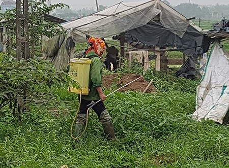 Su that khung khiep o vua rau an toan cung ung cho Ha Noi-Hinh-4