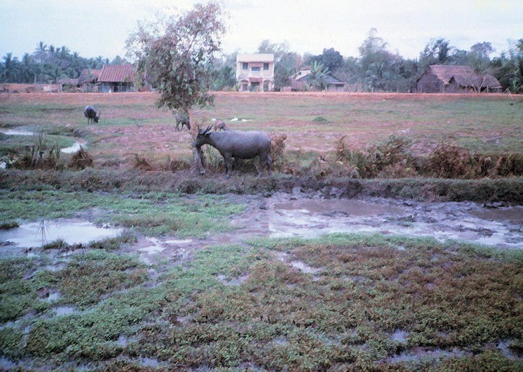 Sai Gon nam 1965 trong anh cua John Hentz (2)-Hinh-16