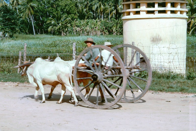 Nhung buc anh tuyet dep ve Tay Ninh nam 1965-Hinh-7
