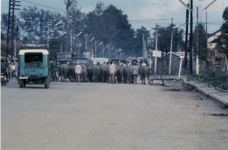 Anh hiem co kho tim ve Can Tho truoc 1975-Hinh-16