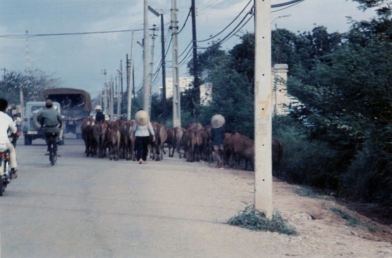 Anh hiem co kho tim ve Can Tho truoc 1975-Hinh-17