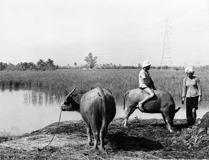 Sai Gon nam 1967 trong anh cua phong vien Viet Nam-Hinh-10