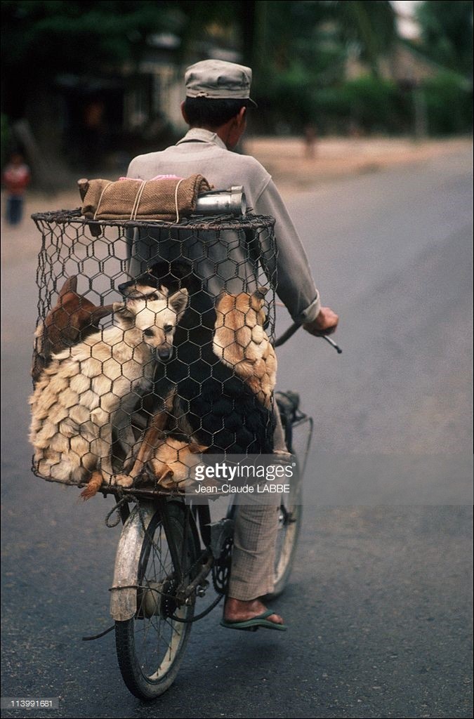 Loat anh cuc hay ve Sai Gon nam 1991 (2)-Hinh-2