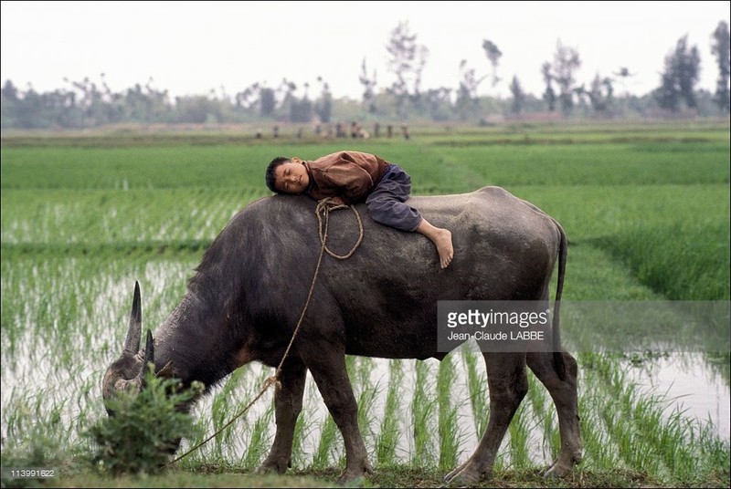 Loat anh cuc hay ve Sai Gon nam 1991 (2)-Hinh-20