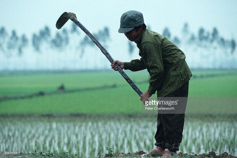 Anh khong dung hang ve Ha Noi nam 1992-Hinh-11