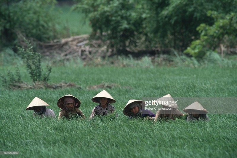 Loat anh muon doi gia tri ve Viet Nam thap nien 1990 (1)-Hinh-15