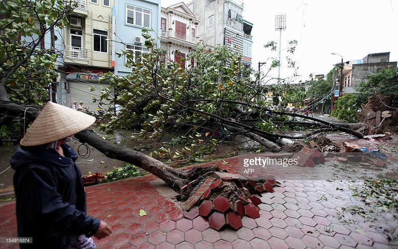 Anh thien tai o Viet Nam cua truyen thong quoc te-Hinh-8