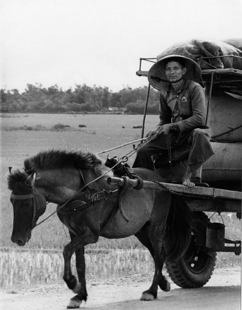 Mien Nam Viet Nam nam 1966 trong anh cua Dana Stone-Hinh-3