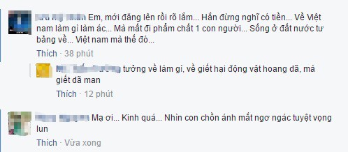 Mot Viet kieu gay soc voi ‘chien tich’ that co, cat tiet chon huong-Hinh-3