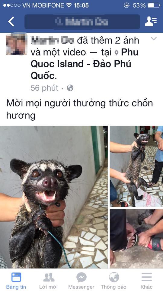 Mot Viet kieu gay soc voi ‘chien tich’ that co, cat tiet chon huong