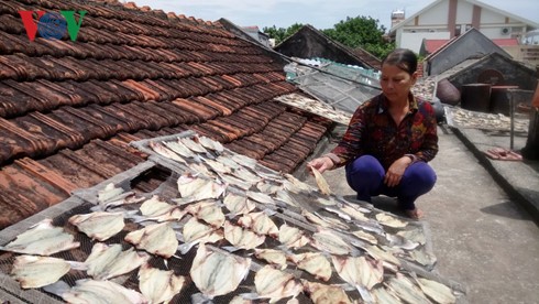 thanh hoa: xuat hien ca ca tu nhien chet tren bien hinh 2