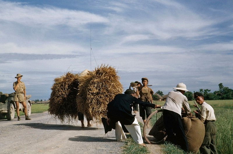 Anh mau vo cung hiem ve Viet Nam nam 1954-Hinh-6