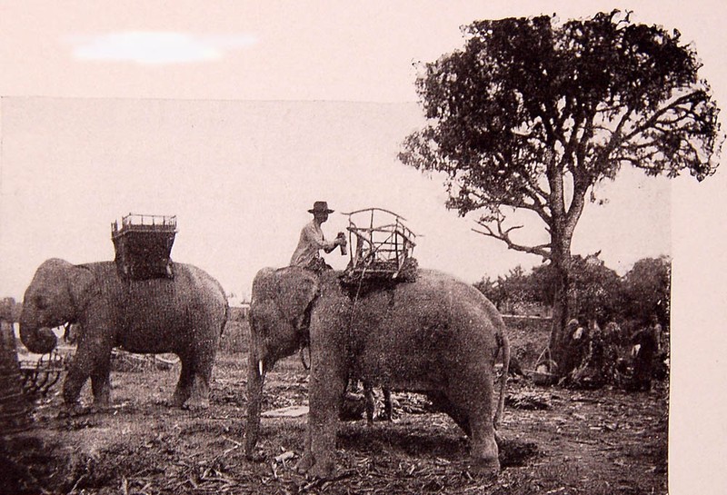 Loat anh tuyet voi ve xu so Dong Duong nam 1901 (2)-Hinh-8