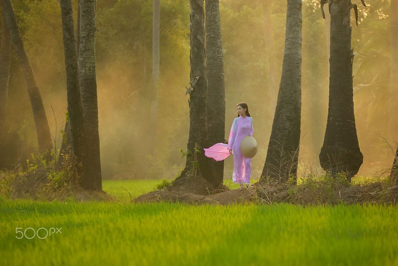 Dep me man thieu nu ao dai Viet trong anh nguoi Thai-Hinh-14