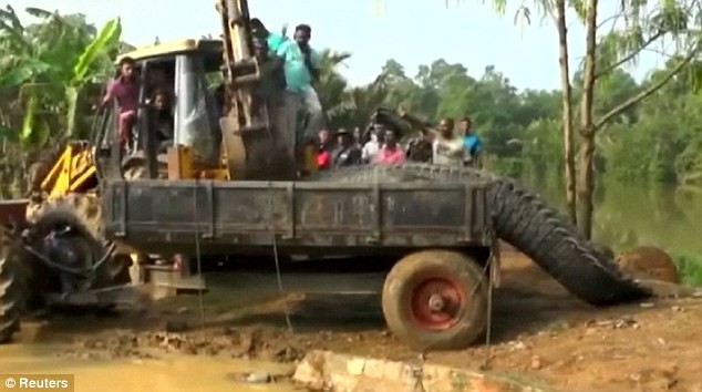 Soc nang voi ca sau quai vat nang 1 tan o Sri Lanka-Hinh-3