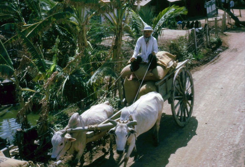 Anh doi thuong thu vi o Long An nam 1968 (2)-Hinh-3