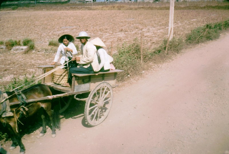 Anh doi thuong thu vi o Long An nam 1968 (2)-Hinh-5