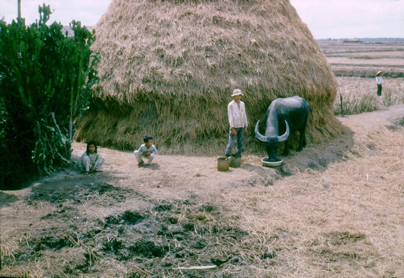 Anh doi thuong thu vi o Long An nam 1968 (2)-Hinh-6