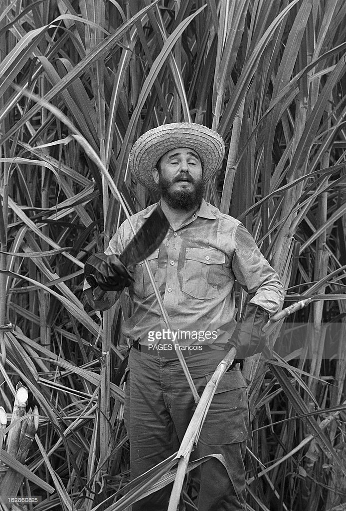 Anh lich su it nguoi biet ve lanh tu Fidel Castro (2)-Hinh-6