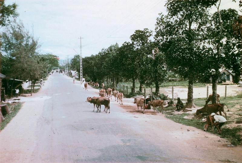Khoanh khac kho quen ve Quang Tri nam 1967-Hinh-14