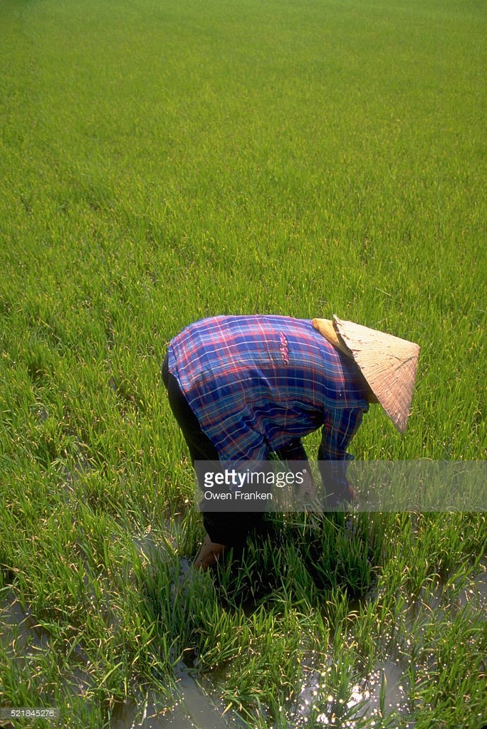 Anh tuyet voi ve ba mien Viet Nam dau thap nien 1990 (1)-Hinh-12