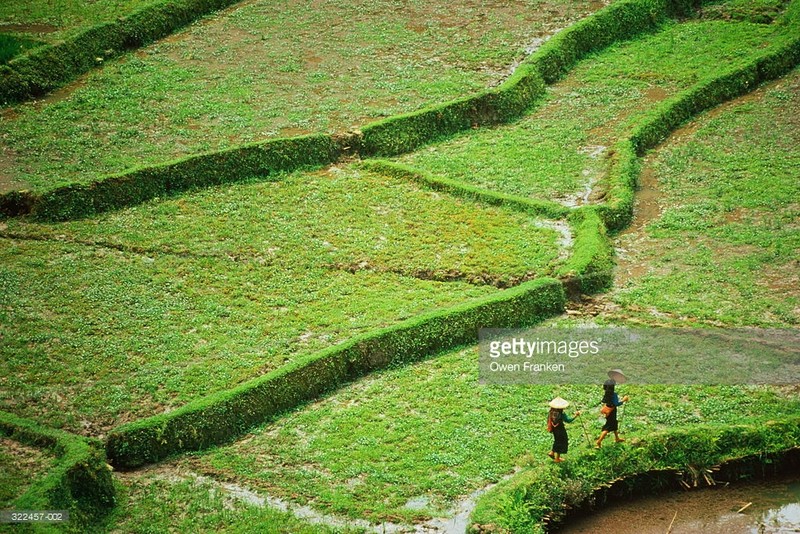 Loat anh tuyet voi ve ba mien Viet Nam dau thap nien 1990 (2)-Hinh-9