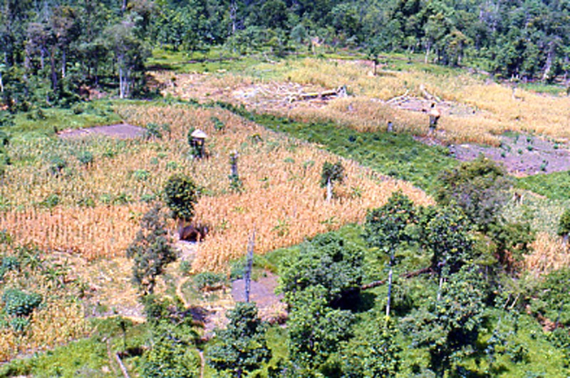 Loat anh tuyet dep ve Da Lat truoc 1975 nhin tu may bay-Hinh-10