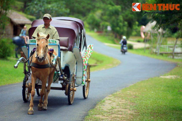 Khung canh than tien o Thung lung Tinh Yeu Da Lat-Hinh-12