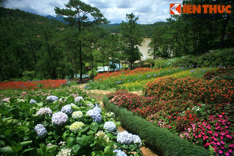 Khung canh than tien o Thung lung Tinh Yeu Da Lat-Hinh-8