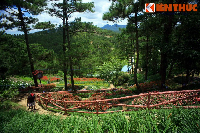 Khung canh than tien o Thung lung Tinh Yeu Da Lat-Hinh-9