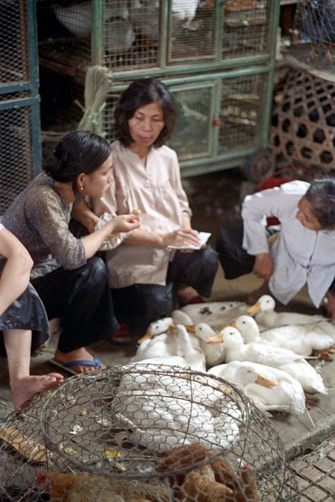 Loat anh doc ben trong cho Ben Thanh nam 1973 (1)-Hinh-7