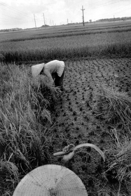 Loat anh “goc canh” ve Ha Noi nam 1990 cua Larry Towell (2)-Hinh-10